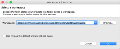 The "Select a workspace" window.  Either click on OK or Browse to a different location